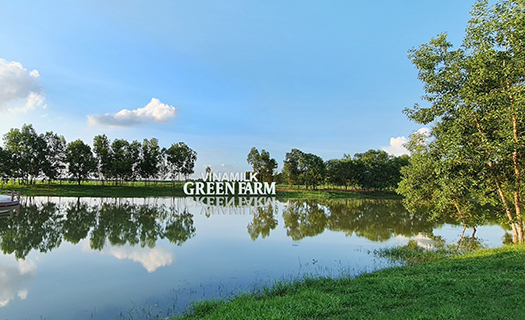 Vinamilk green farm – mô hình trang trại bò sữa phát triển bền vững